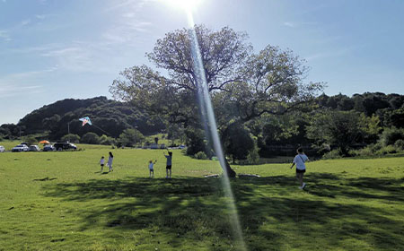 金石包裝（嘉興）有限公司地下水、土壤檢測(cè)報(bào)告公示